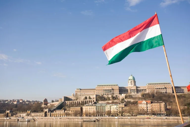 Унгария продължава „лова“ на украински шпиони, залови още двама