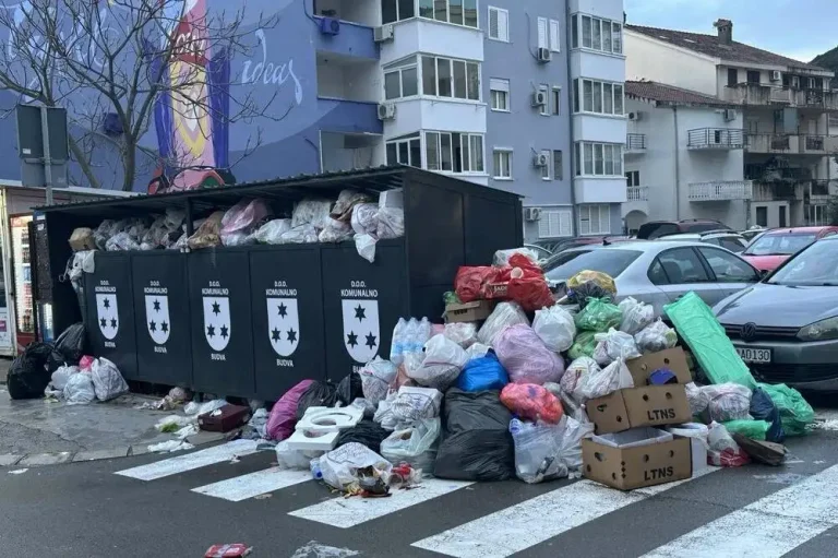 Лептоспироза се разпространява в заринатия от боклуци Сараево