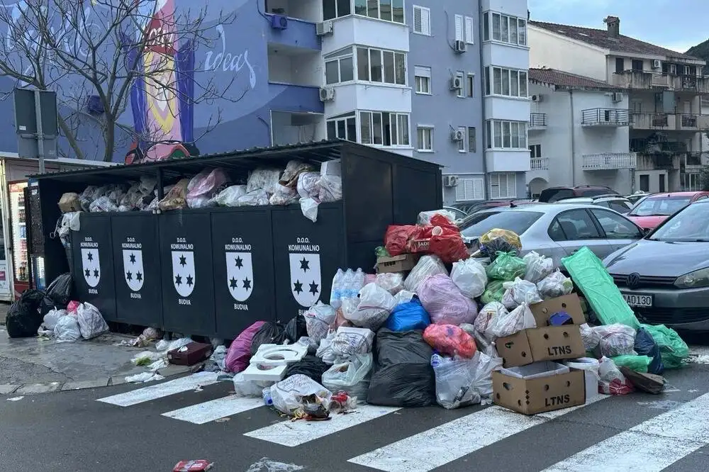 Лептоспироза се разпространява в заринатия от боклуци Сараево